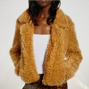 Blank NYC Teddy coat